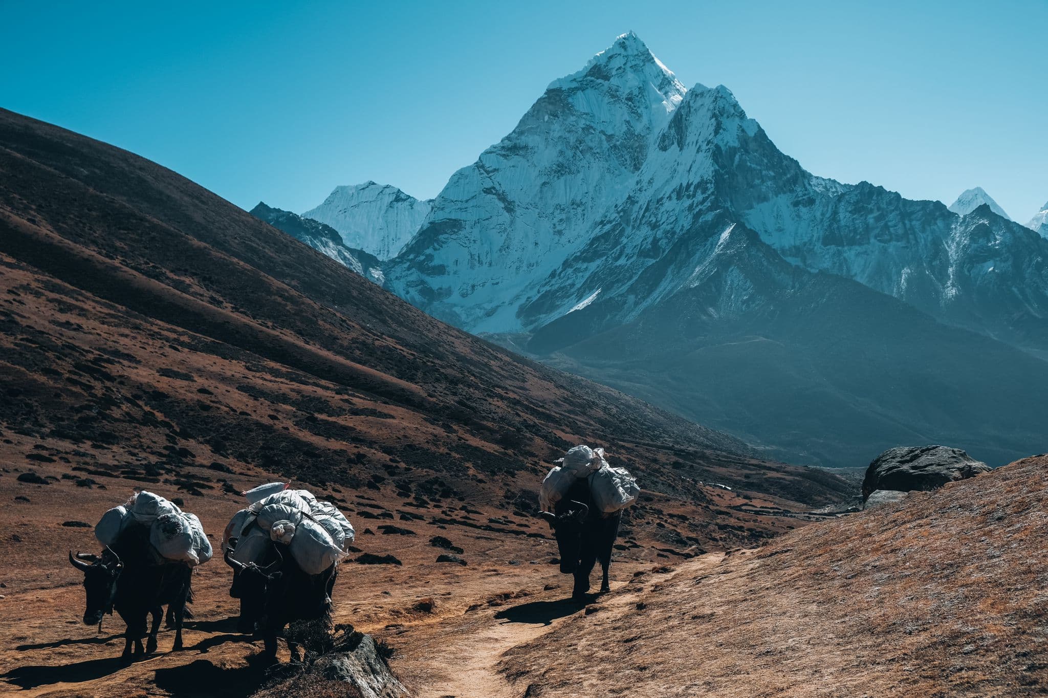 Everest Base Camp Trek