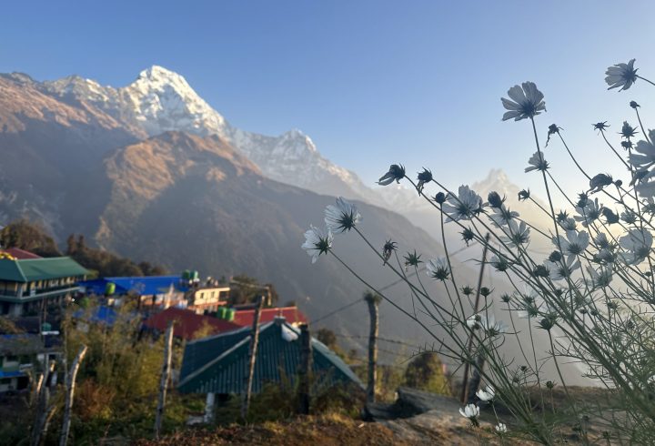 IMG_1789 copy IMG_1789 copy