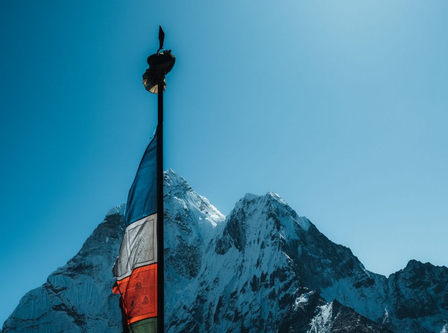 WhatsApp Image 2022-12-12 at 16.58.50-3