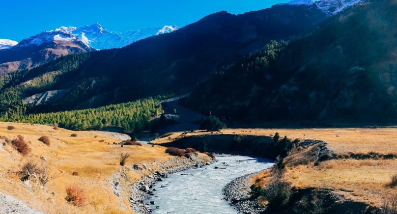 neha-maheen-mahfin-25Kt-3kp3MI-unsplash neha-maheen-mahfin-25Kt-3kp3MI-unsplash